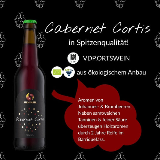 Spitzenqualität für SPENDABEL Cabernet Cortis: EU Bio, Ecovin und VDP Logo und Geschmacksprofil von Johannes- und Brombeerenaromen, samtweichen Tanninen und feiner Säure neben Holzaromen durch zwei Jahre Reife im Barriquefass auf rotem Weintrauben-Icon.