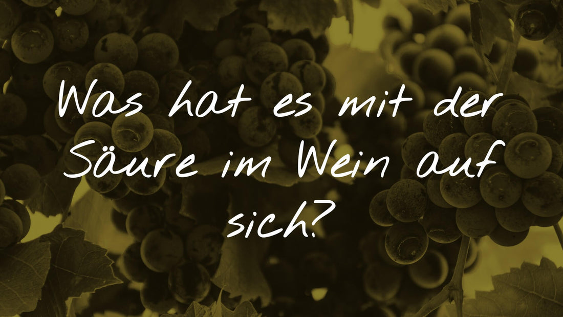 Was hat es mit der Säure im Wein auf sich?