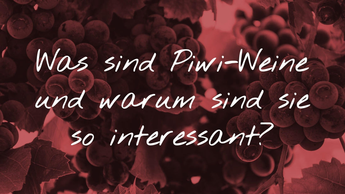Wissenswertes über Rebsorten: Titelgrafik zum Artikel über pilzwiderstandsfähige Reben (PIWIs) auf einem Hintergrund mit Weintrauben und Weinblättern.