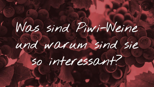 Wissenswertes über Rebsorten: Titelgrafik zum Artikel über pilzwiderstandsfähige Reben (PIWIs) auf einem Hintergrund mit Weintrauben und Weinblättern.