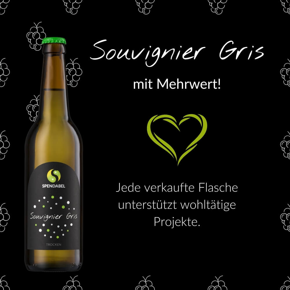 Souvignier Gris trocken - ECOVIN - BIO