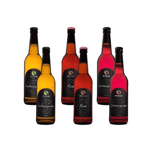 Produktfoto des SPENDABEL Probierpakets mit jeweils zwei Flaschen des Weißburgunder Weißwein trocken, dem feinherben Roséwein und des Spätburgunder Rotwein trocken