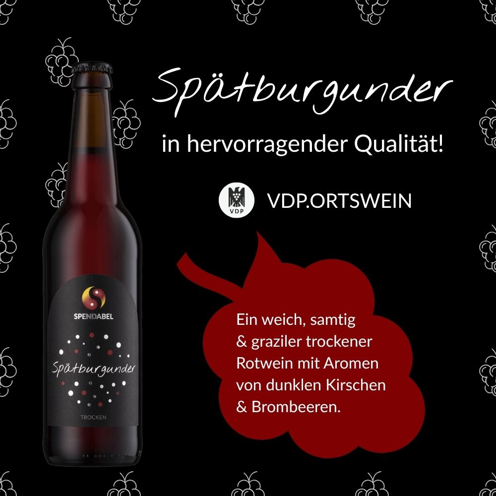 Qualitätsversprechen für SPENDABEL Spätburgunder: VDP Logo, VDP.Ortswein Klassifizierung und Geschmacksprofil eines weich, samtig und grazilen trockenen Rotwein mit Aromen von dunklen Kirschen und Brombeeren auf rotem Weintrauben-Icon.