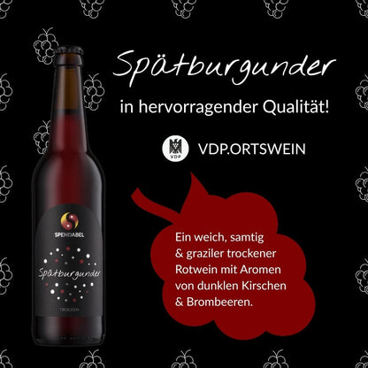 Qualitätsversprechen für SPENDABEL Spätburgunder: VDP Logo, VDP.Ortswein Klassifizierung und Geschmacksprofil eines weich, samtig und grazilen trockenen Rotwein mit Aromen von dunklen Kirschen und Brombeeren auf rotem Weintrauben-Icon.
